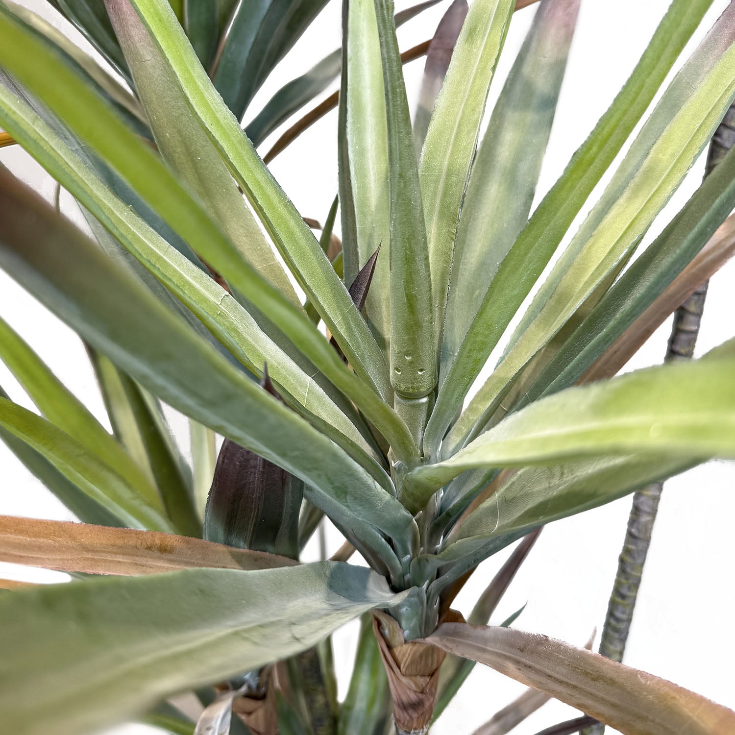 Yucca - Palmlilie Kunstpflanze