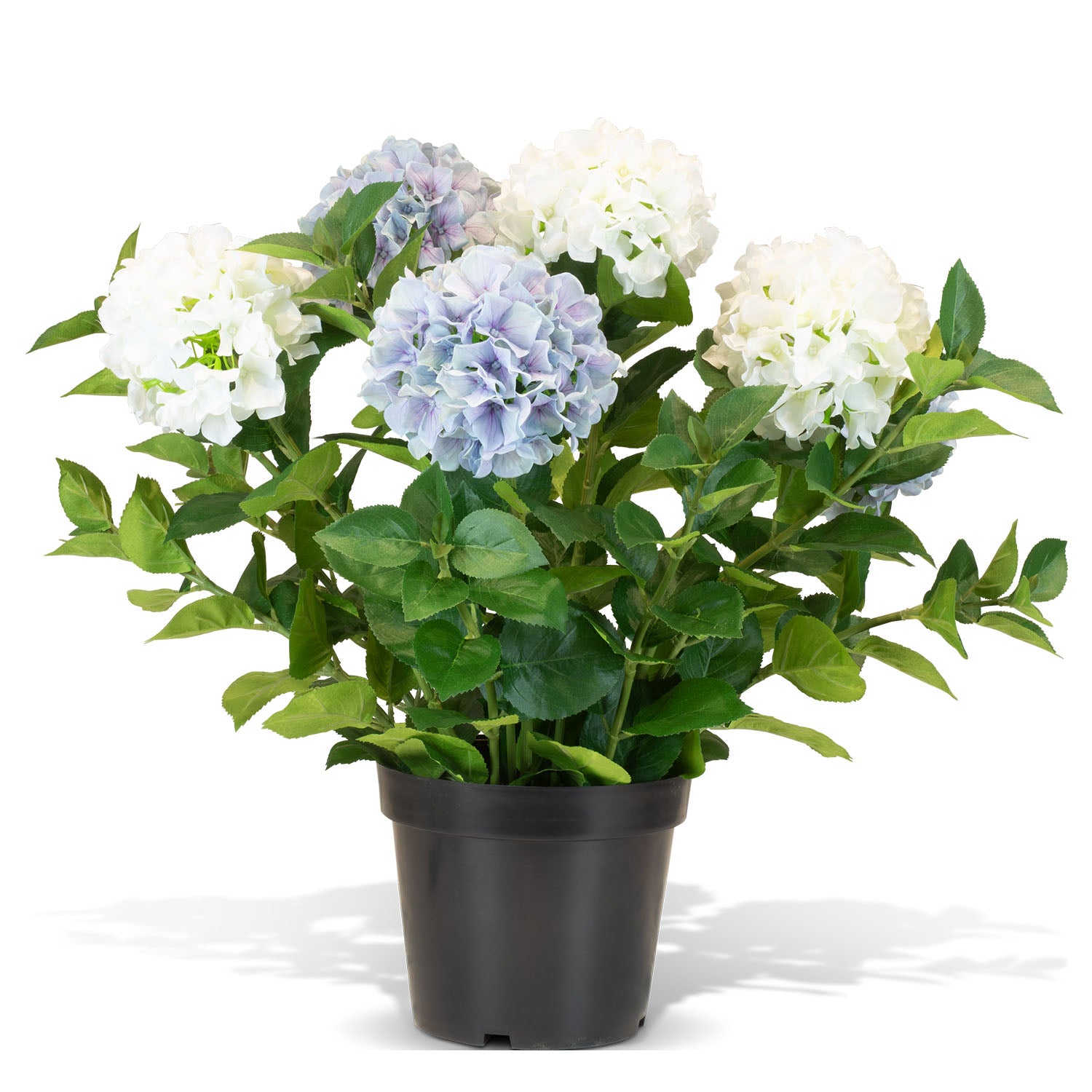 Hortensie - Hydrangea Kunstpflanze
