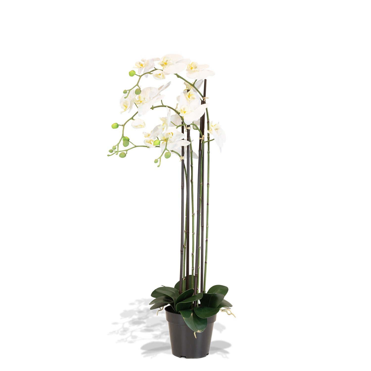 Orchidee Kunstpflanze