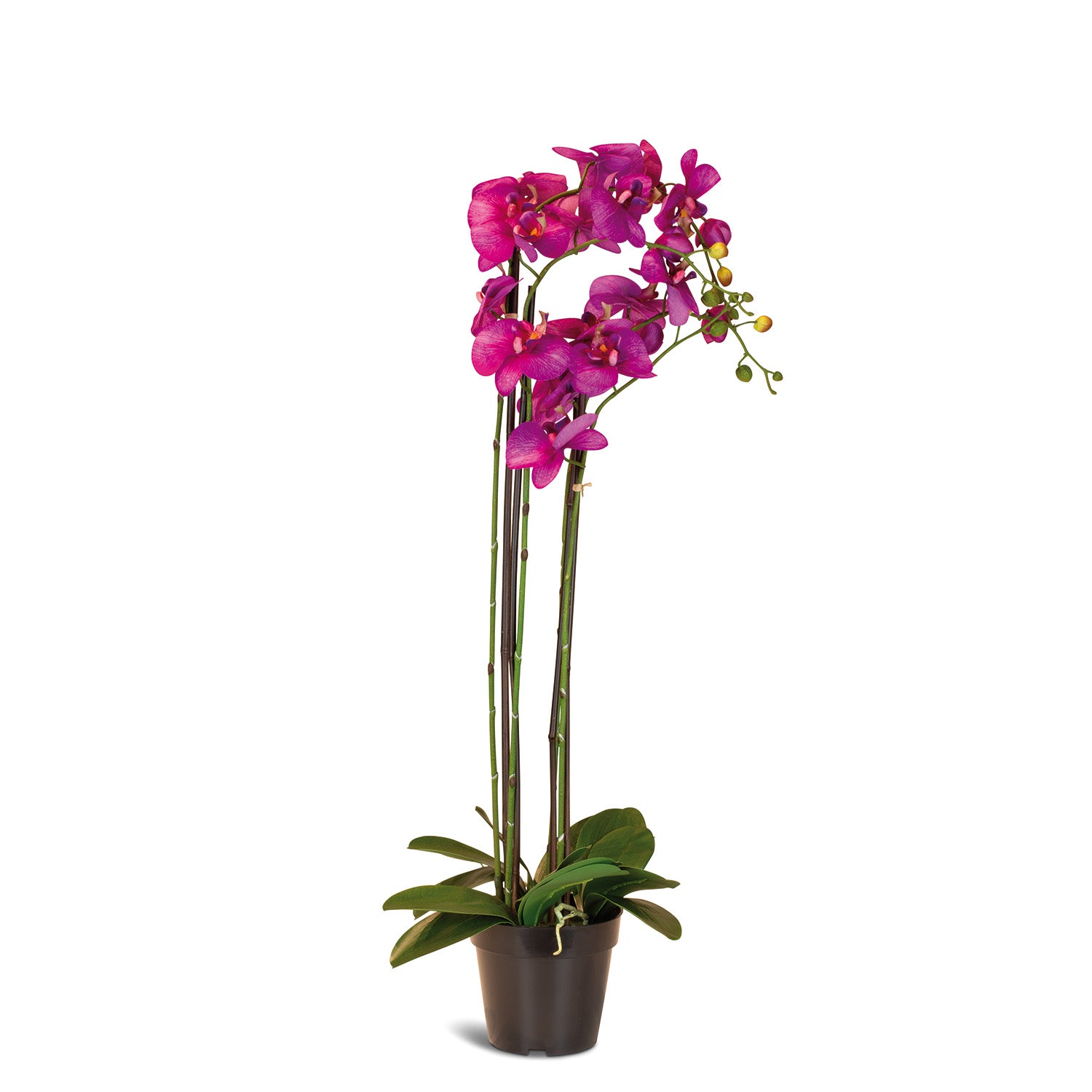 Orchidee Kunstpflanze