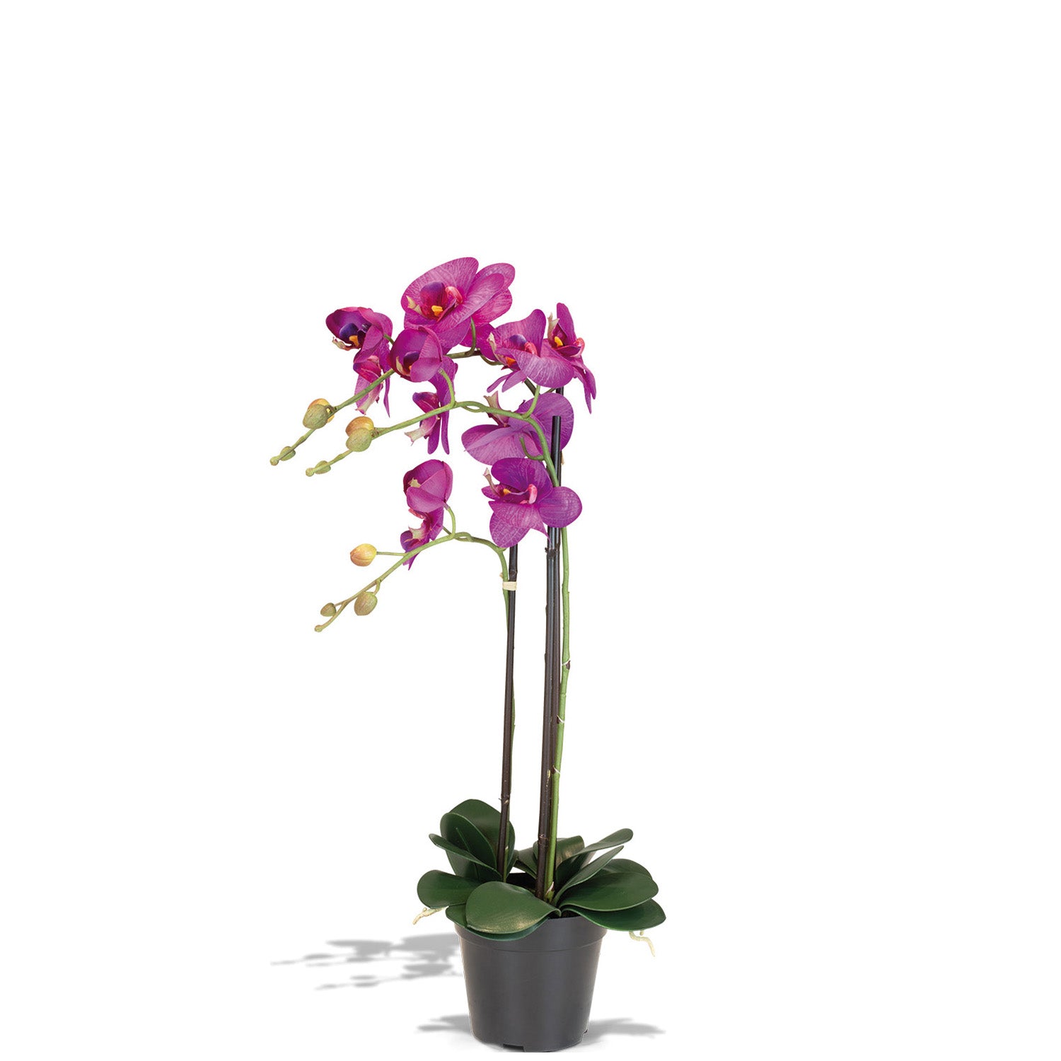 Orchidee Kunstpflanze