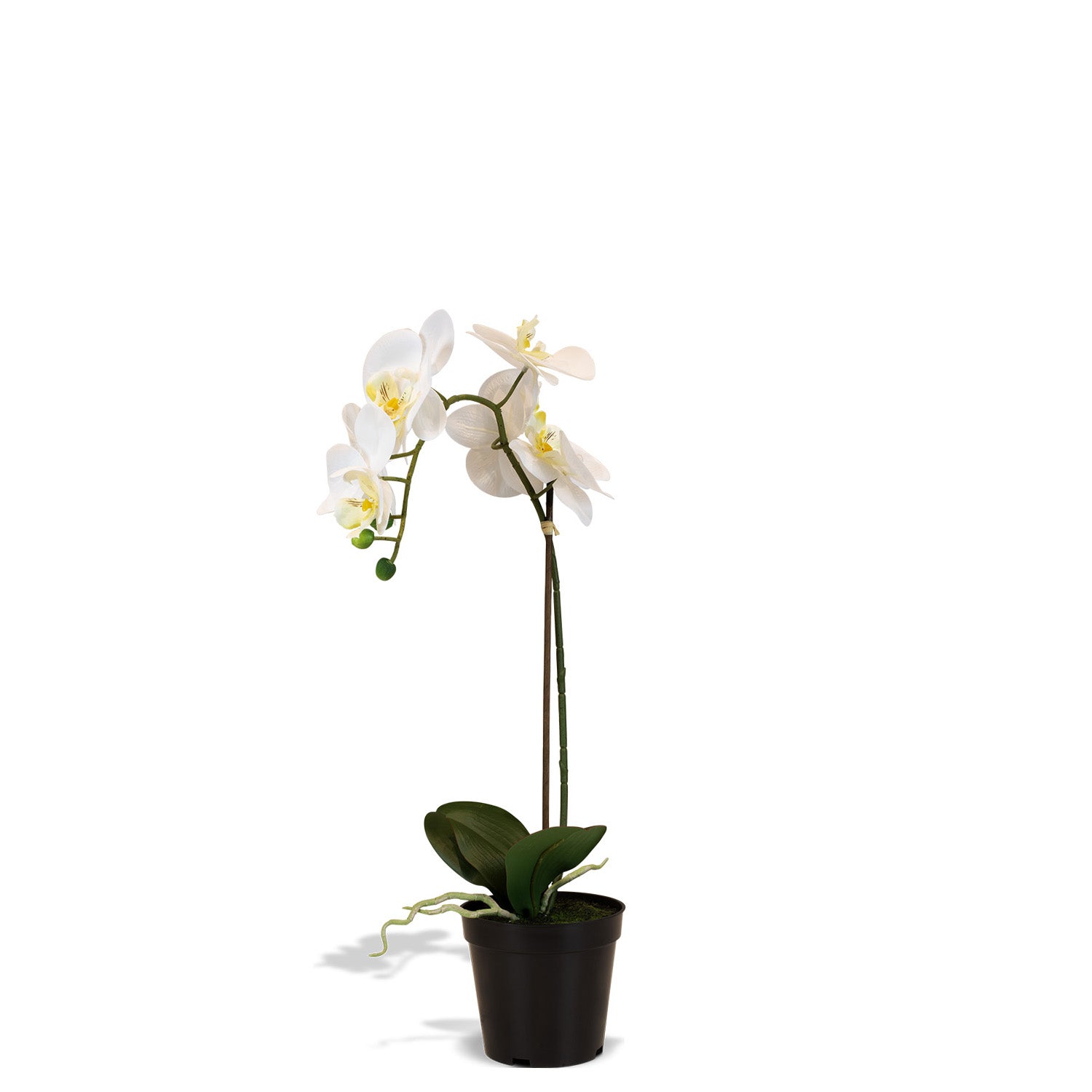 Orchidee Kunstpflanze
