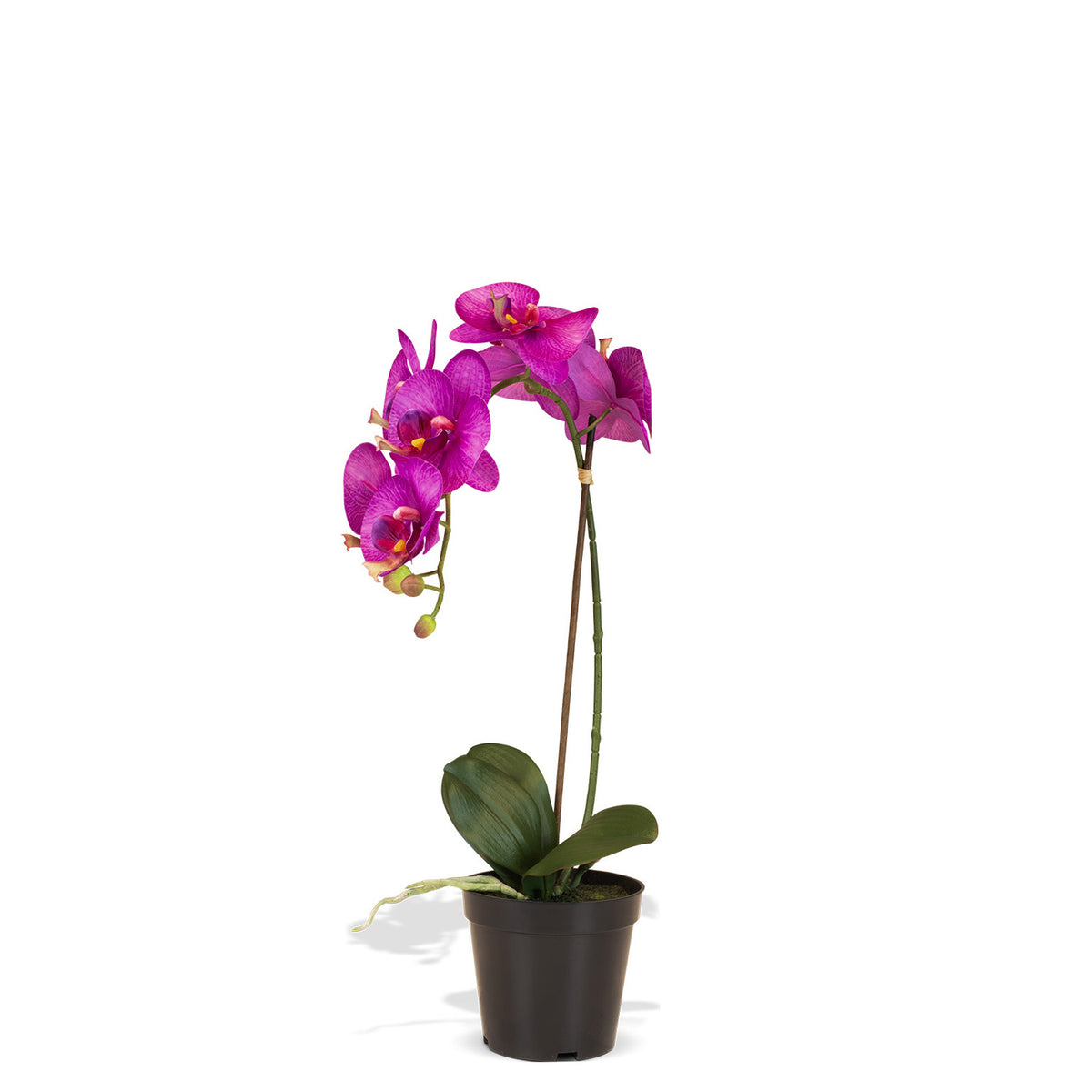 Orchidee Kunstpflanze