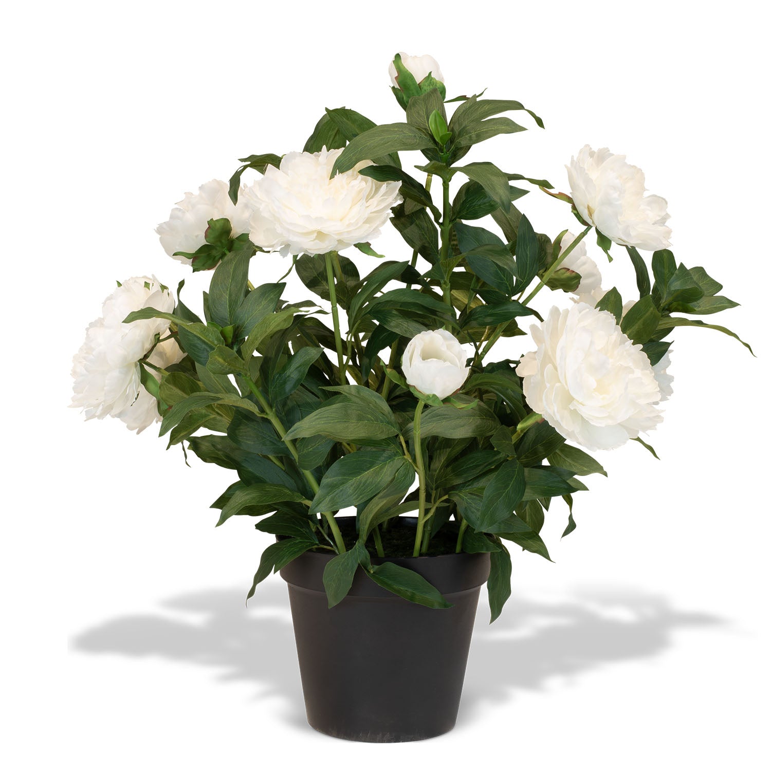 Paeonia - Pfingstrosen Kunstpflanzen
