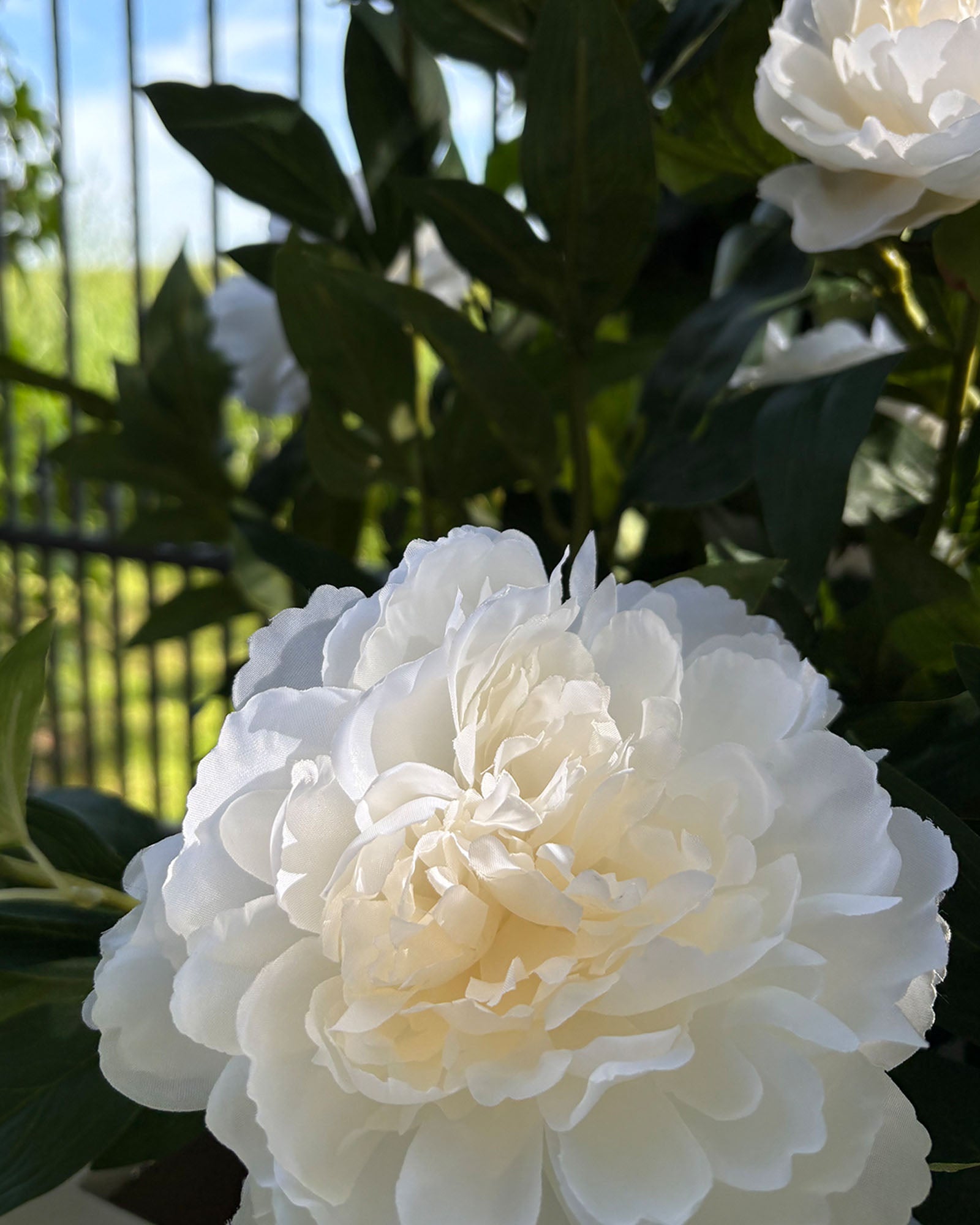 Paeonia - Pfingstrosen Kunstpflanzen