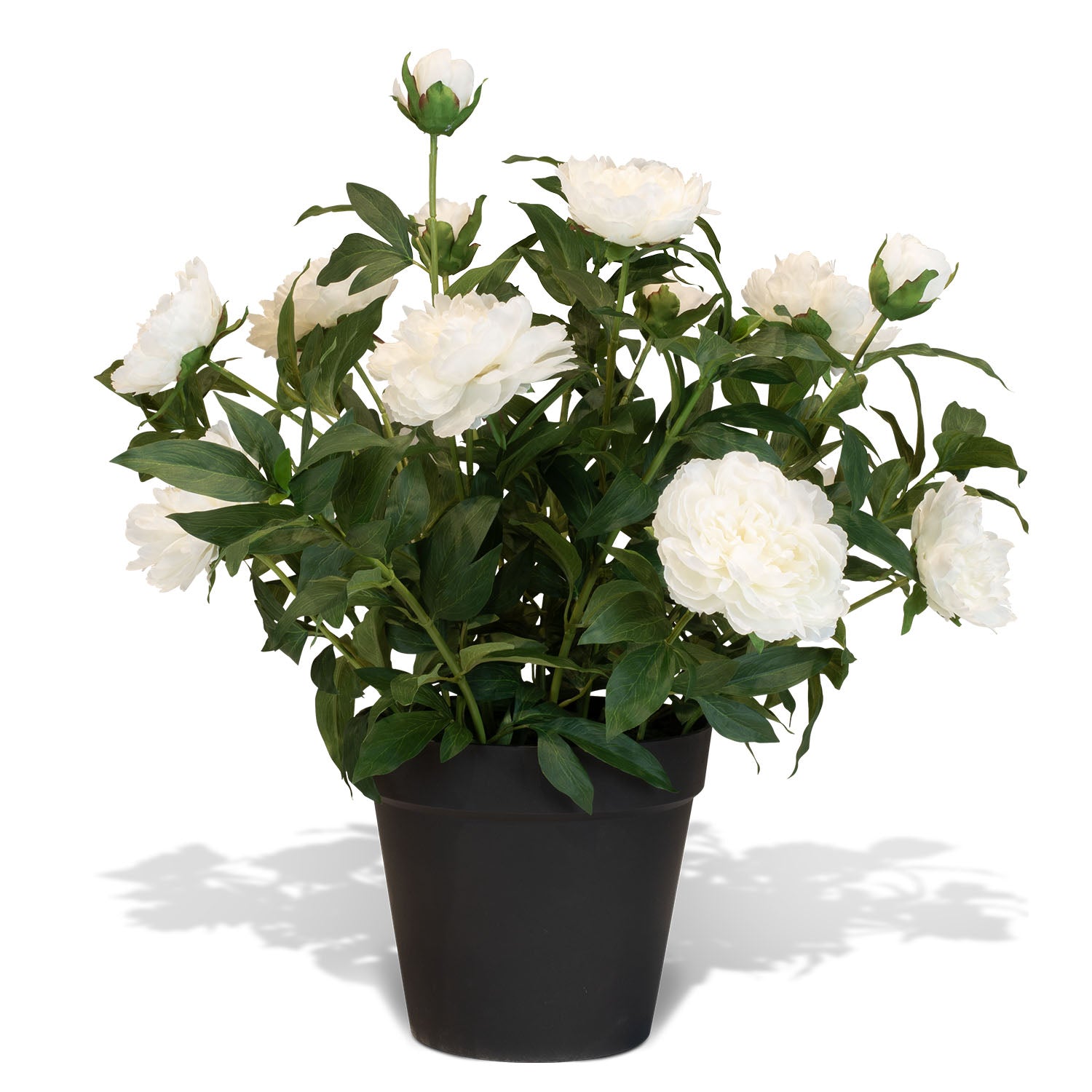 Paeonia - Pfingstrosen Kunstpflanzen