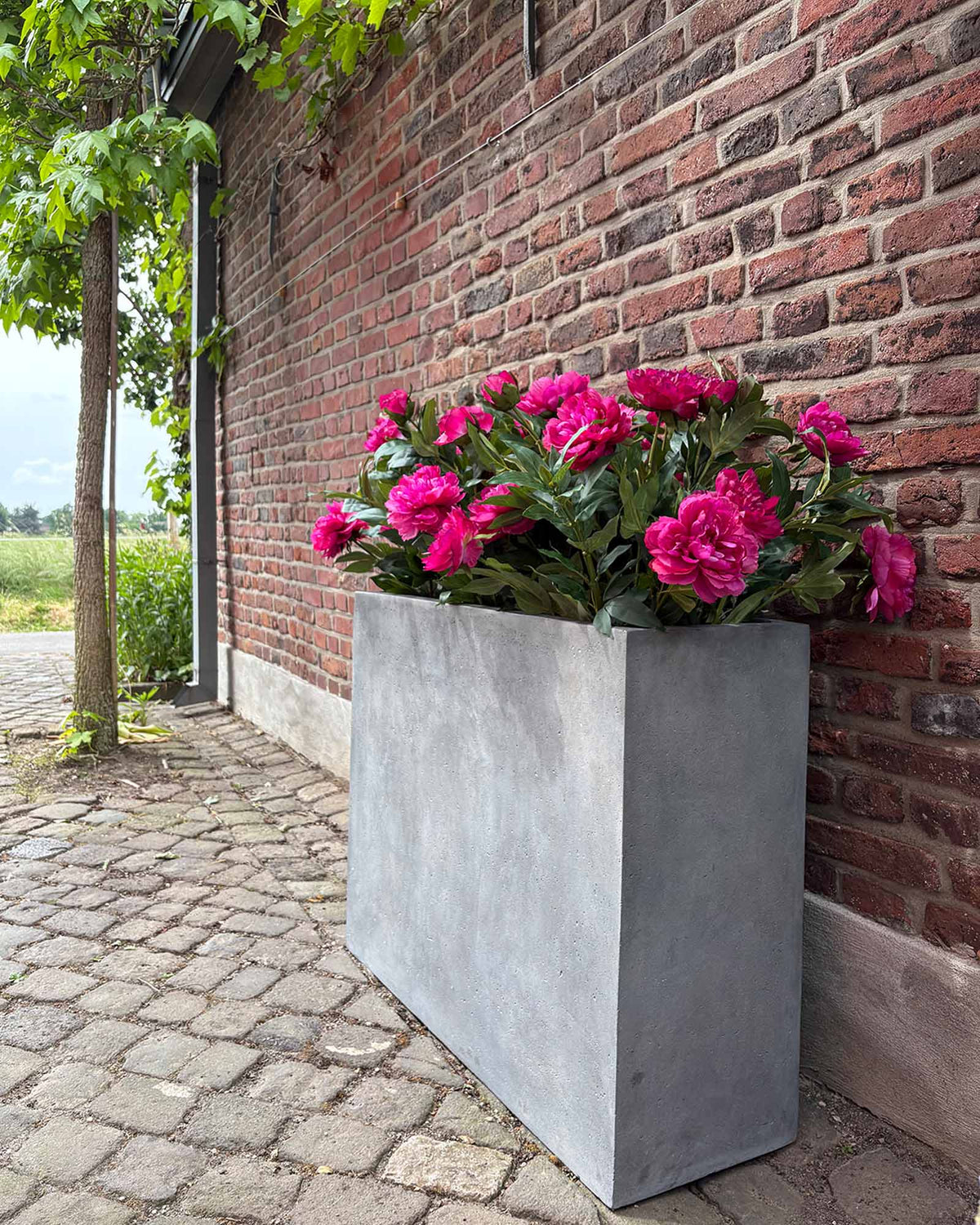 Paeonia - Pfingstrosen Kunstpflanzen