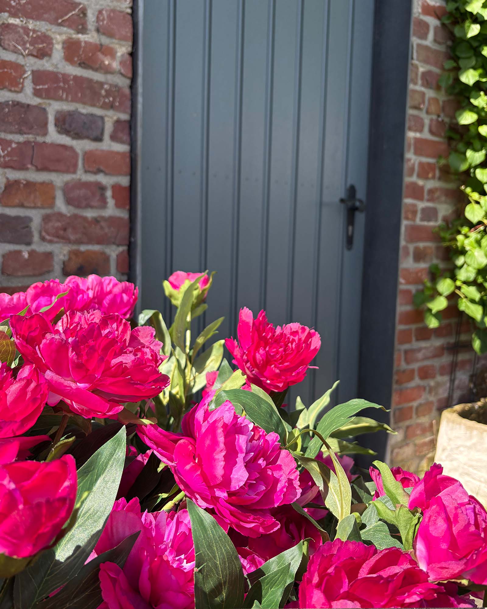 Paeonia - Pfingstrosen Kunstpflanzen