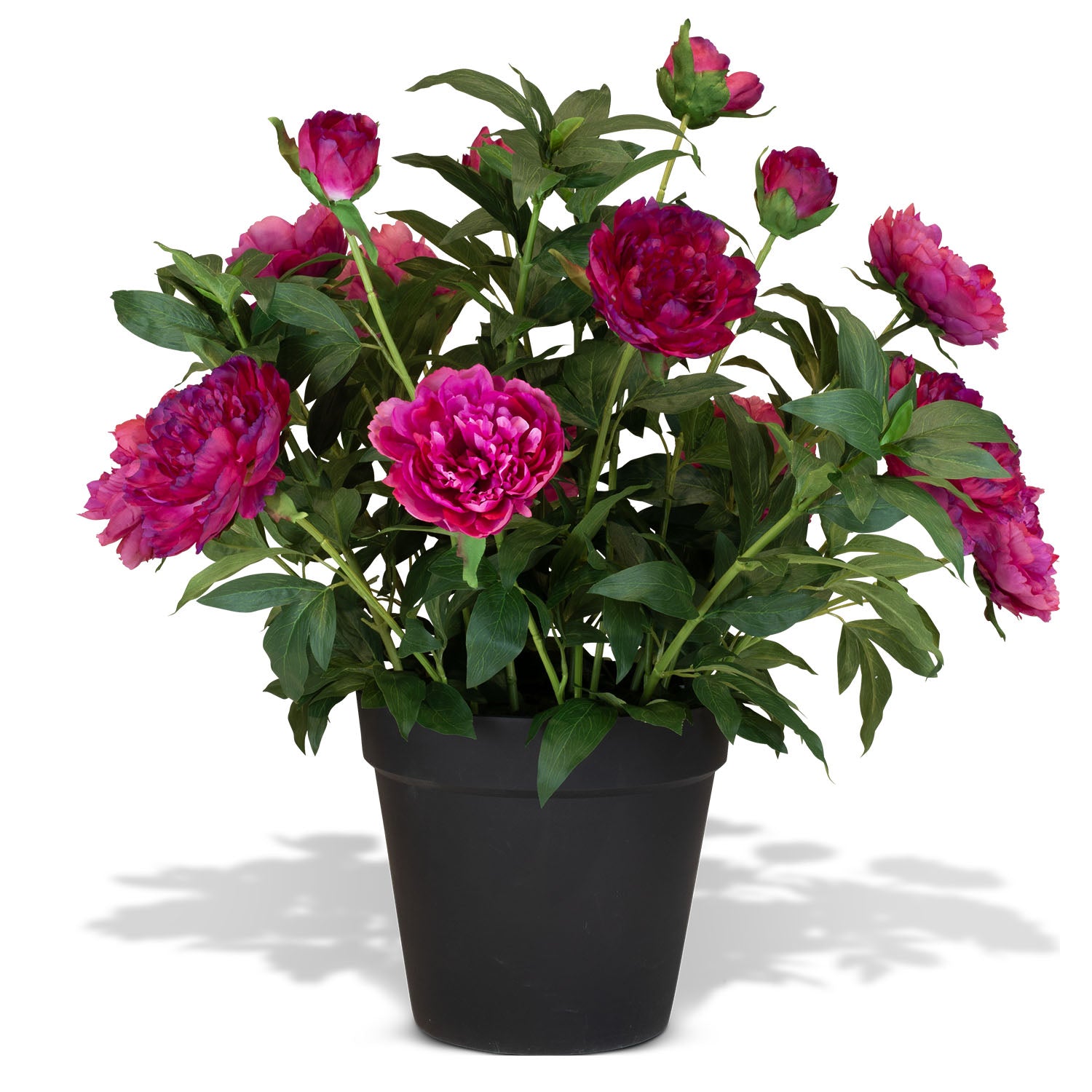 Paeonia - Pfingstrosen Kunstpflanzen