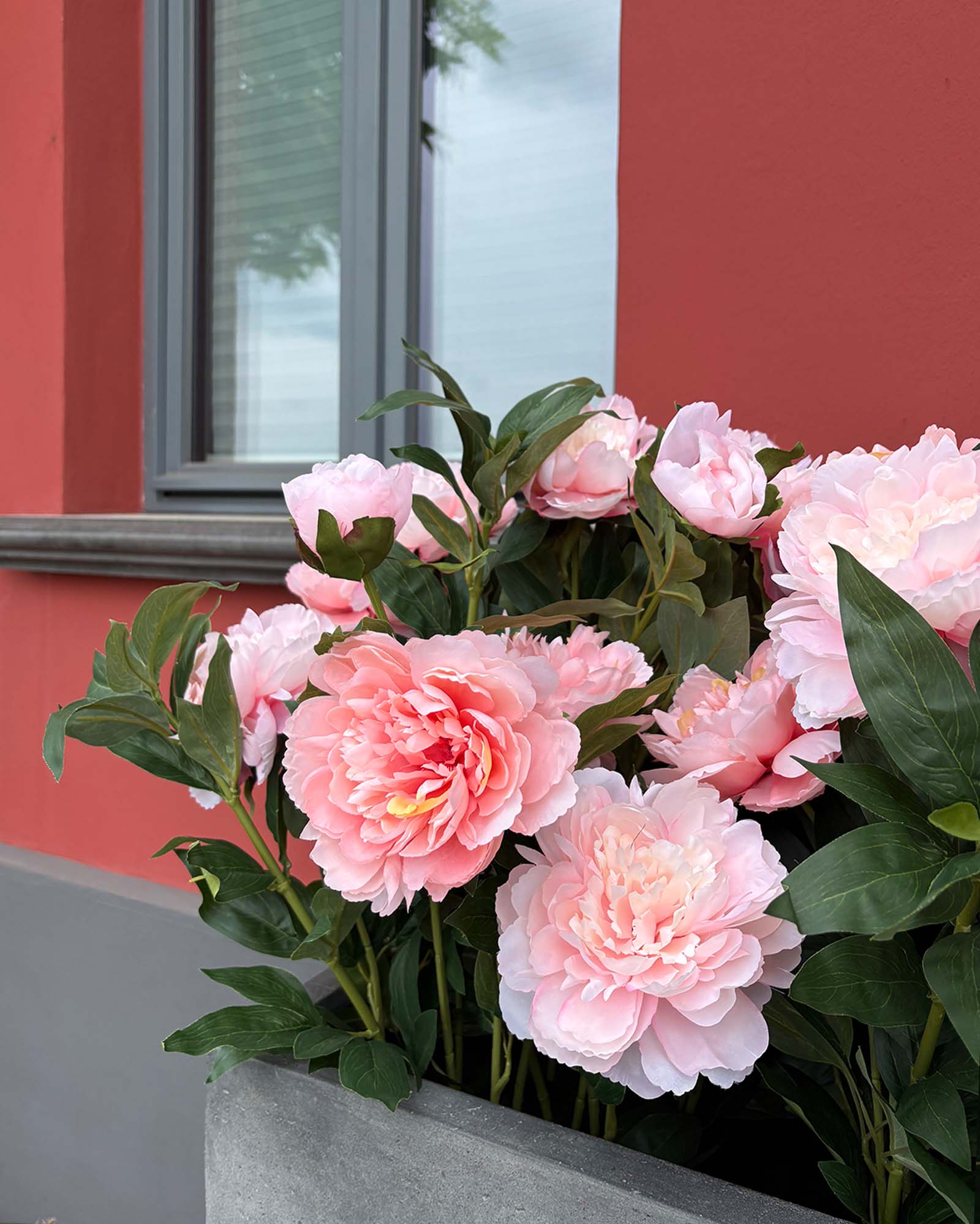 Paeonia - Pfingstrosen Kunstpflanzen