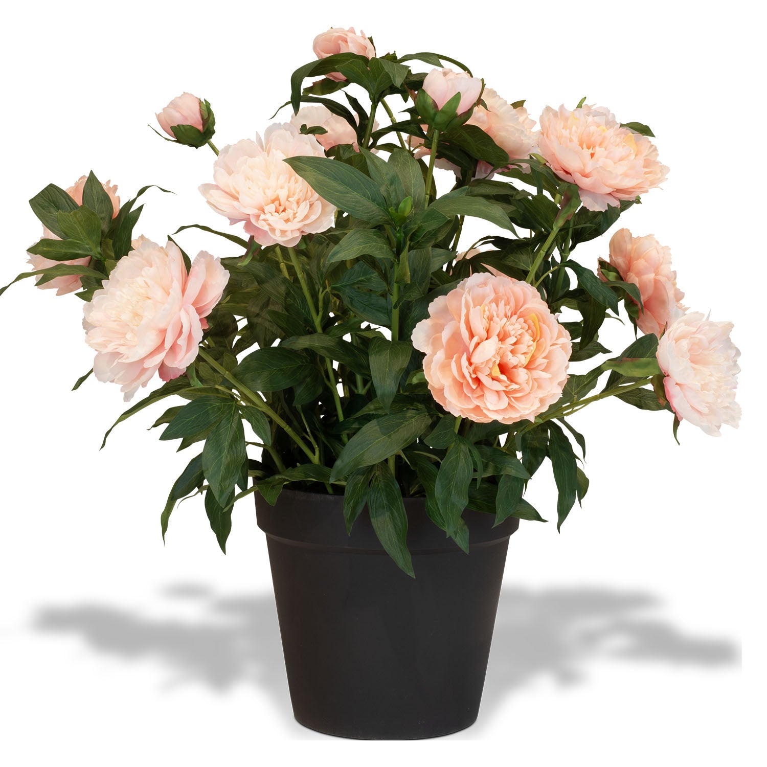 Paeonia - Pfingstrosen Kunstpflanzen