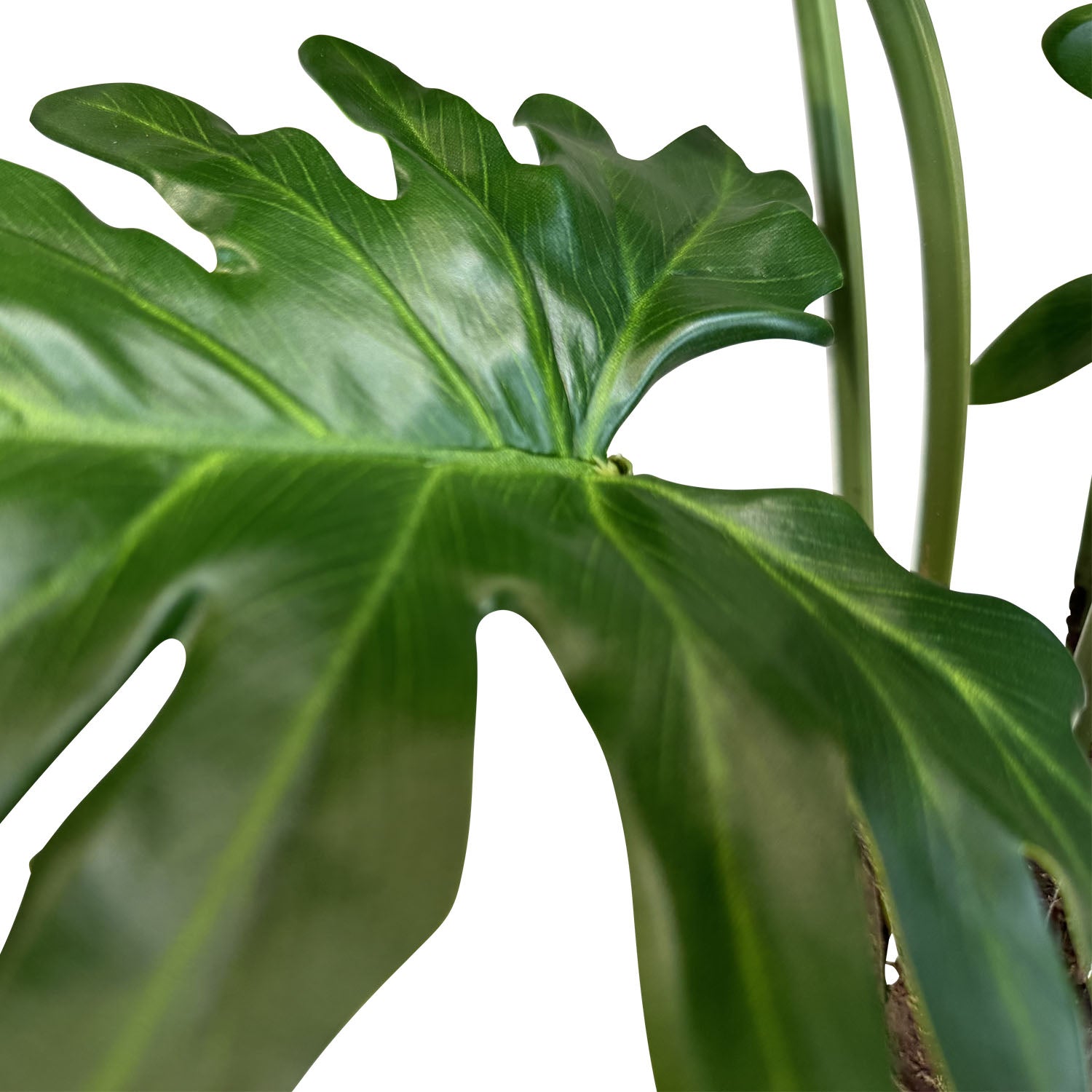 Baum-Philodendron Kunstpflanze