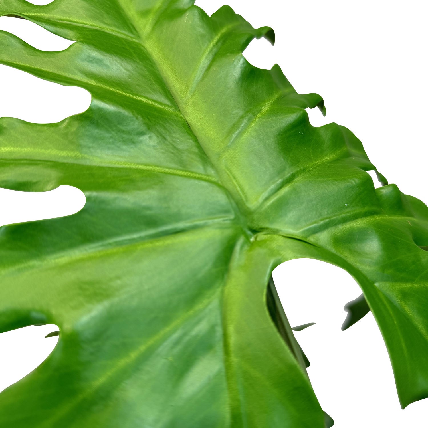 Baum-Philodendron Kunstpflanze