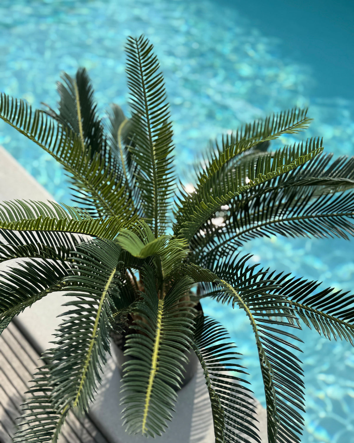 Japanischer Sagopalmfarn Kunstpflanze