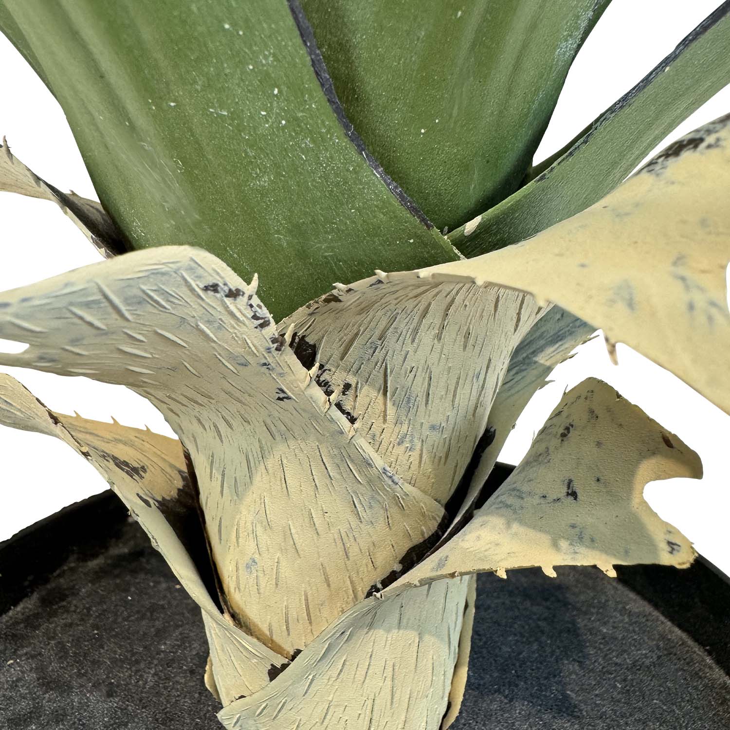 Sisal - Agave sisalana Kunstpflanze