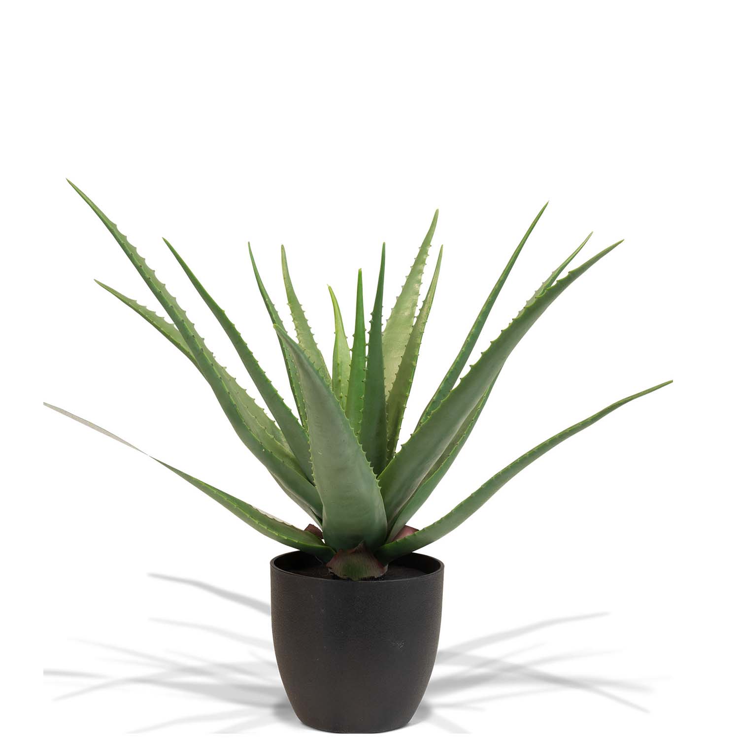 Aloe Vera Kunstpflanze