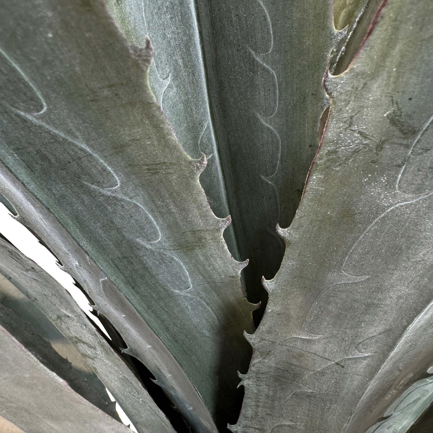 Agave Kunstpflanze