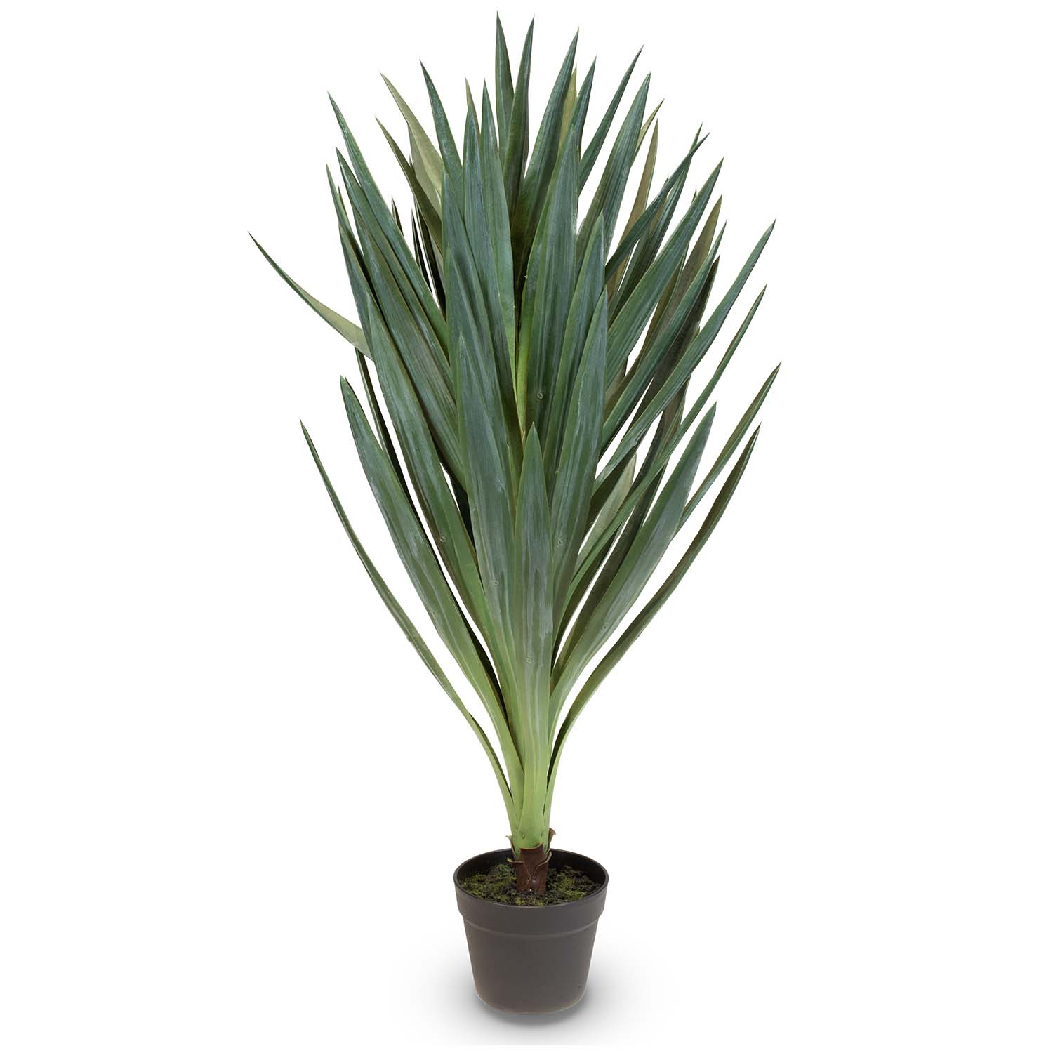 Yucca - Palmlilie Kunstpflanze