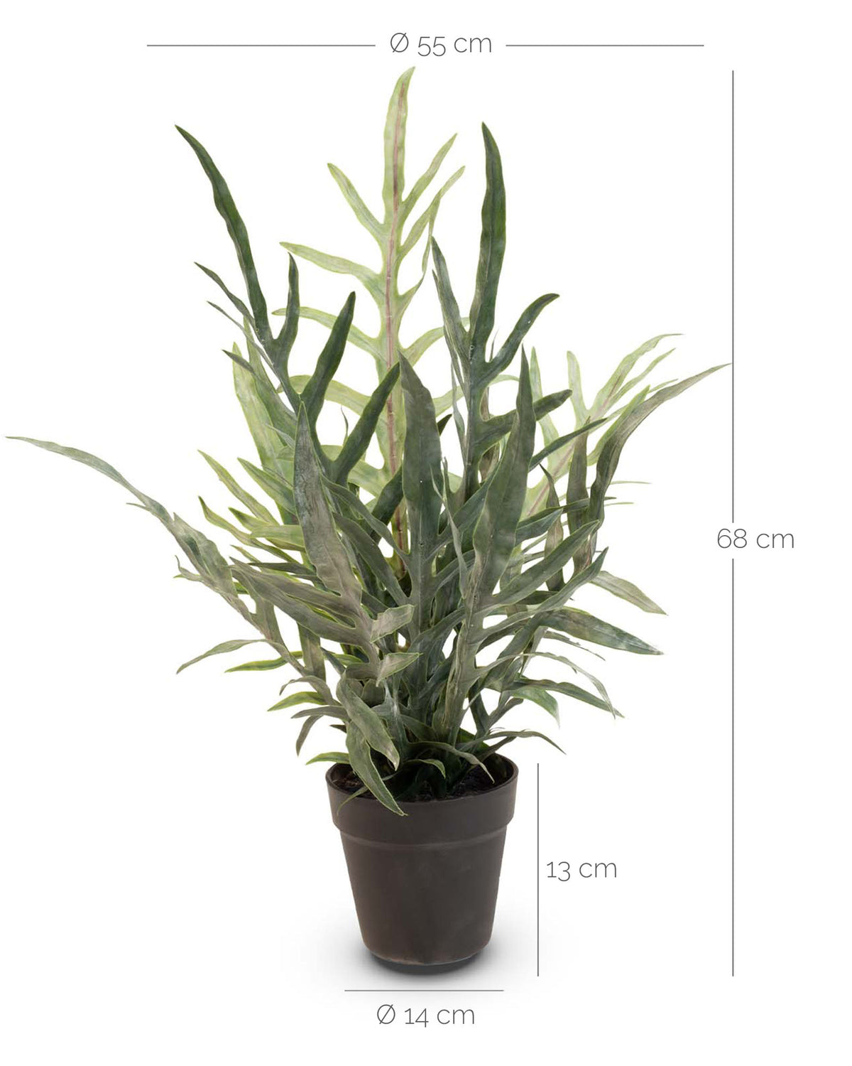 Goldtüpfelfarn Phebodium aureum Kunstpflanze