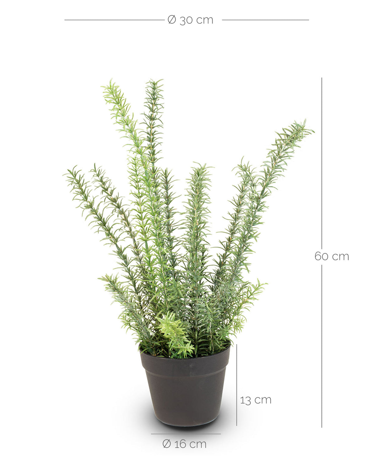 Rosmarin Kunstpflanze