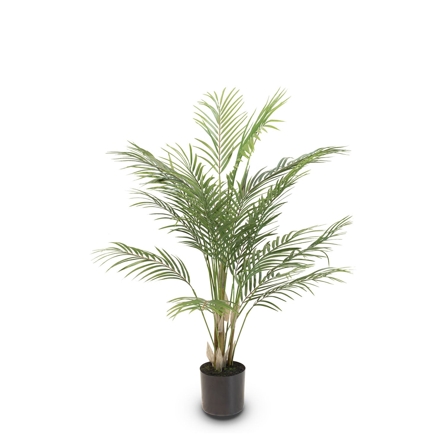 Goldfruchtpalme - Areca Palme Kunstpflanze