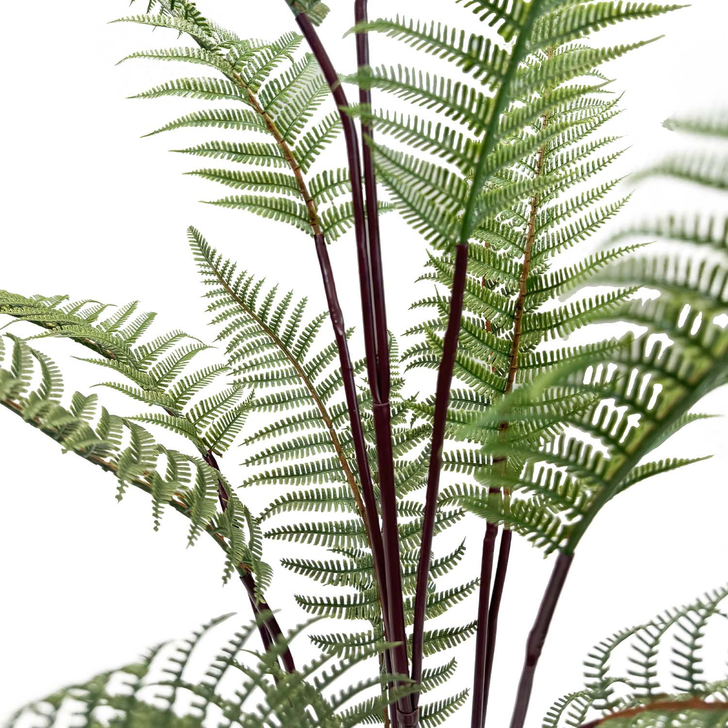 Schwertfarn - Nephrolepis exaltata Kunstpflanze