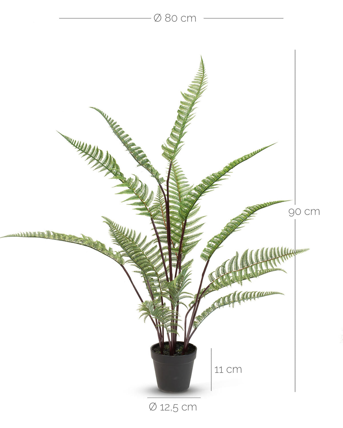 Schwertfarn - Nephrolepis exaltata Kunstpflanze