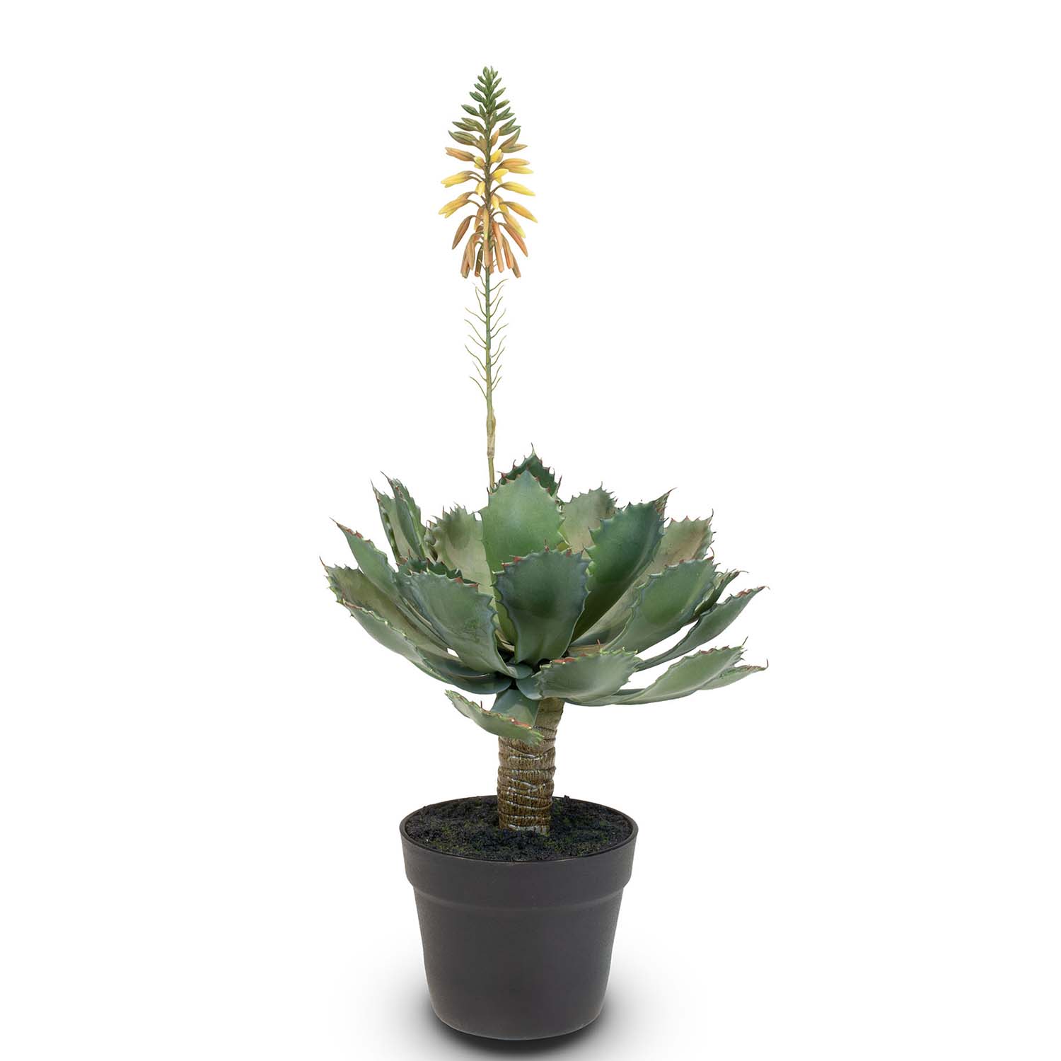 Aloe Vera Kunstpflanze