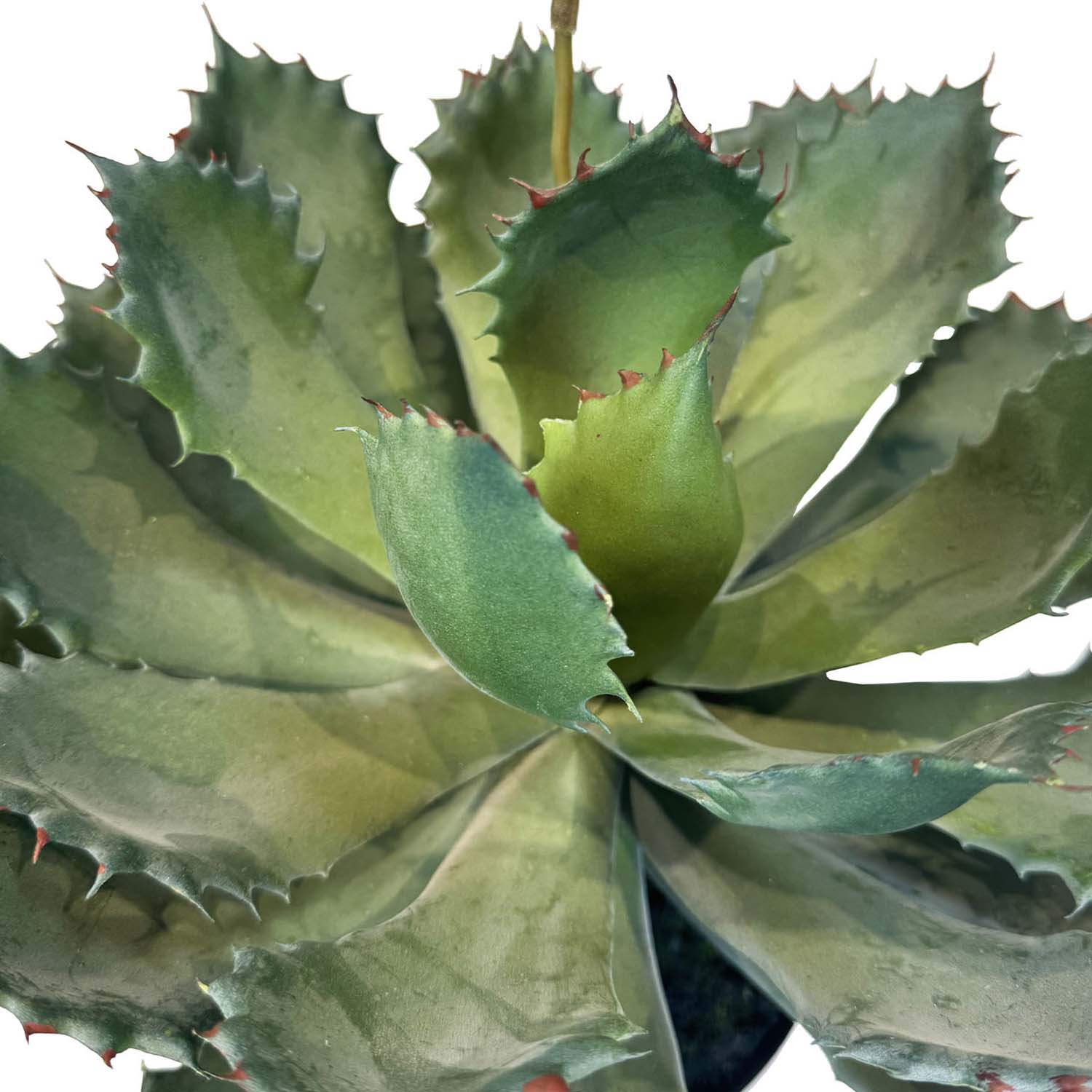 Aloe Vera Kunstpflanze