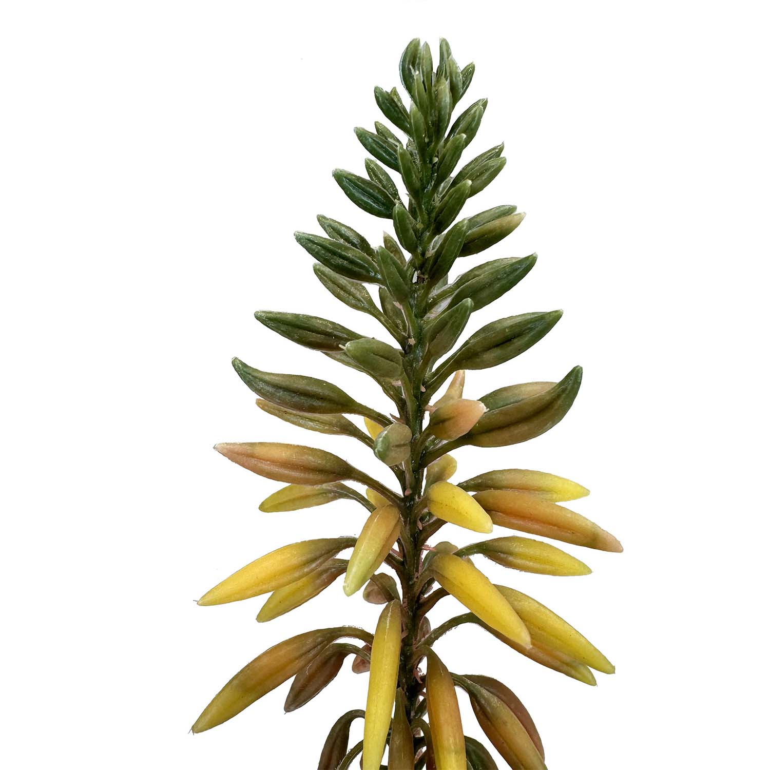 Aloe Vera Kunstpflanze