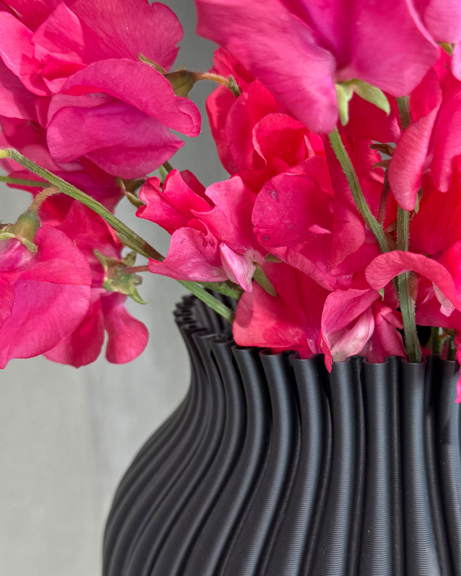 Vase 3D