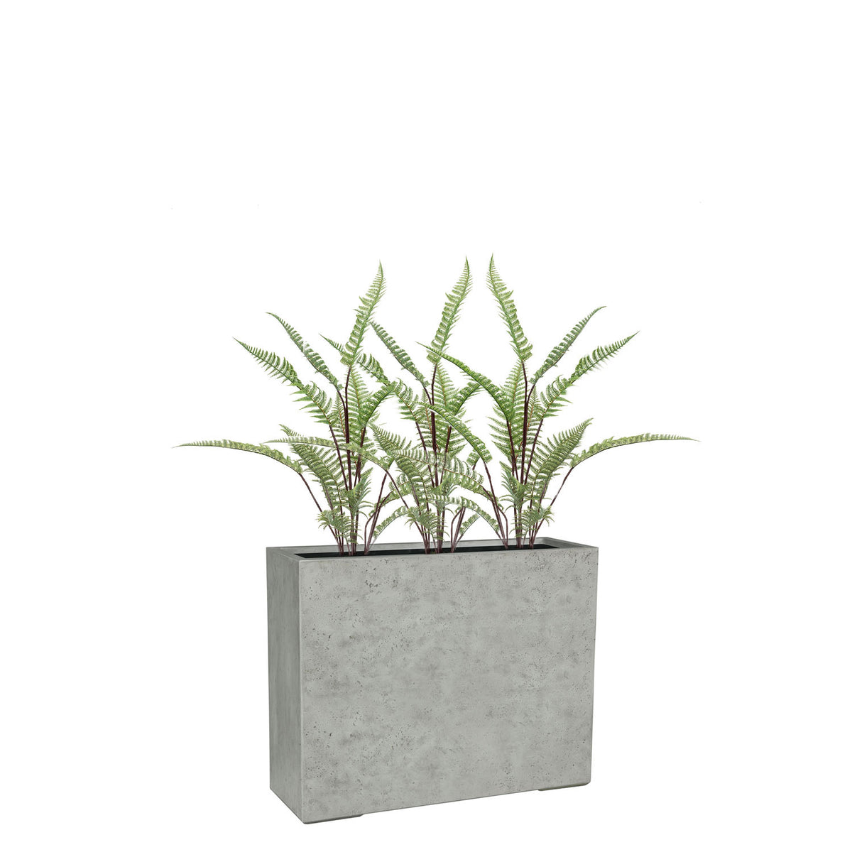 Get Your Green Set aus grauem Mono Raumteiler und UV-stabilem Schwertfarn Seitenansicht