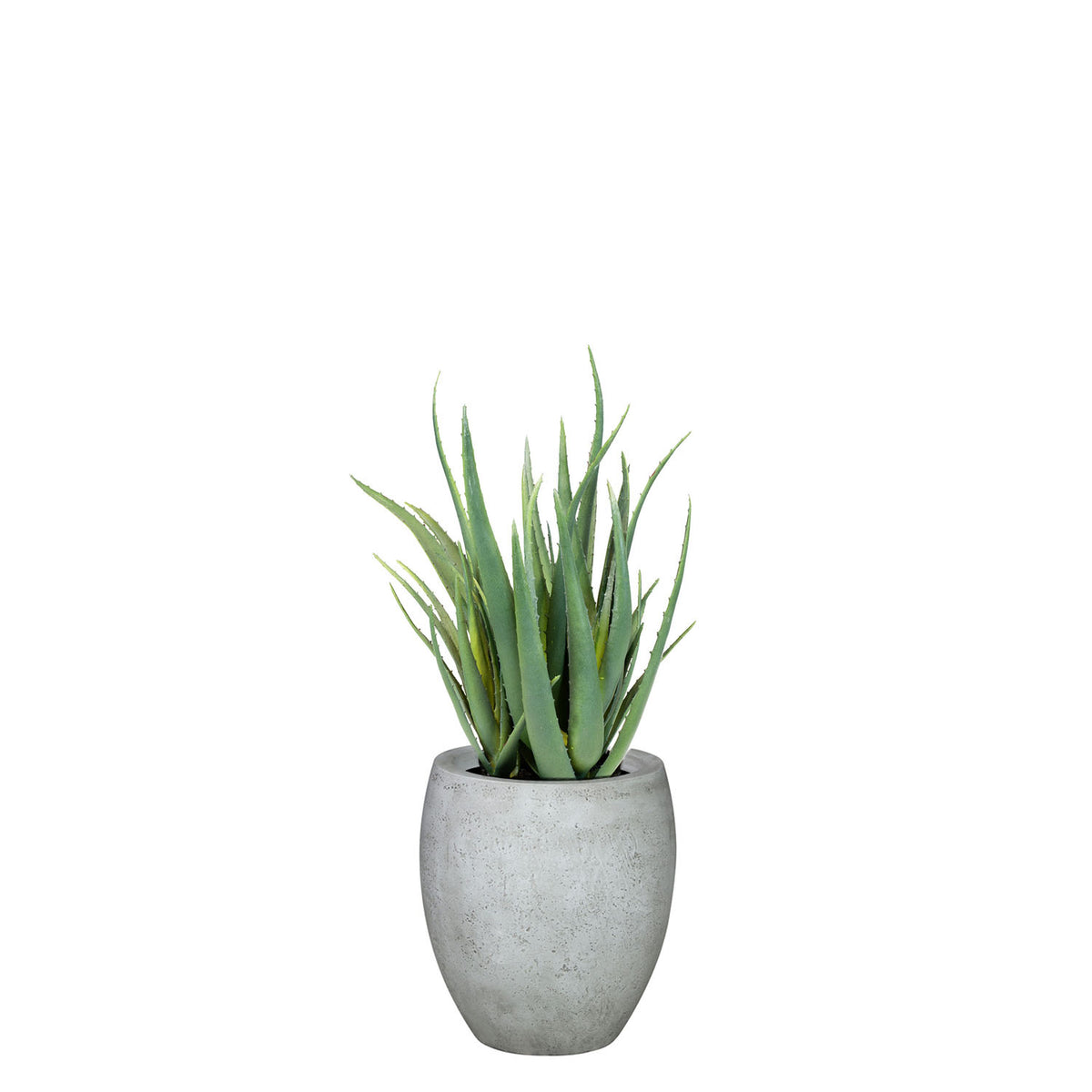 Set aus Mono Bodengefäß und Aloe Vera