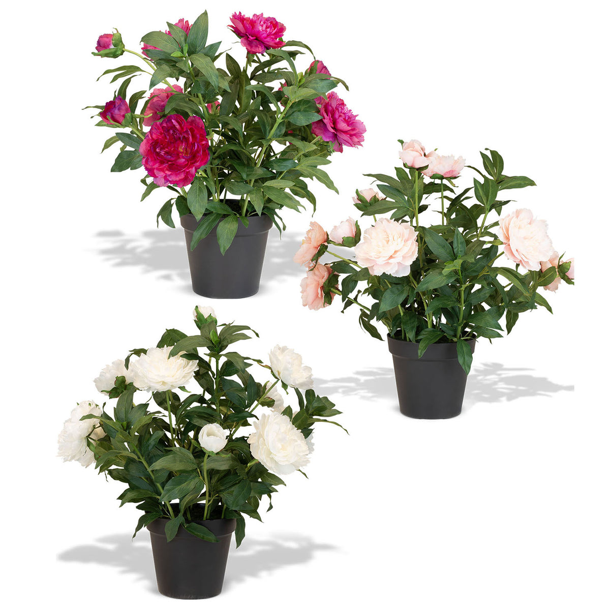 Paeonia - Pfingstrosen Kunstpflanzen