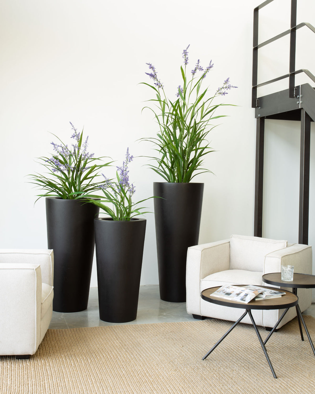 Basalo Conical Set mit Lavendel