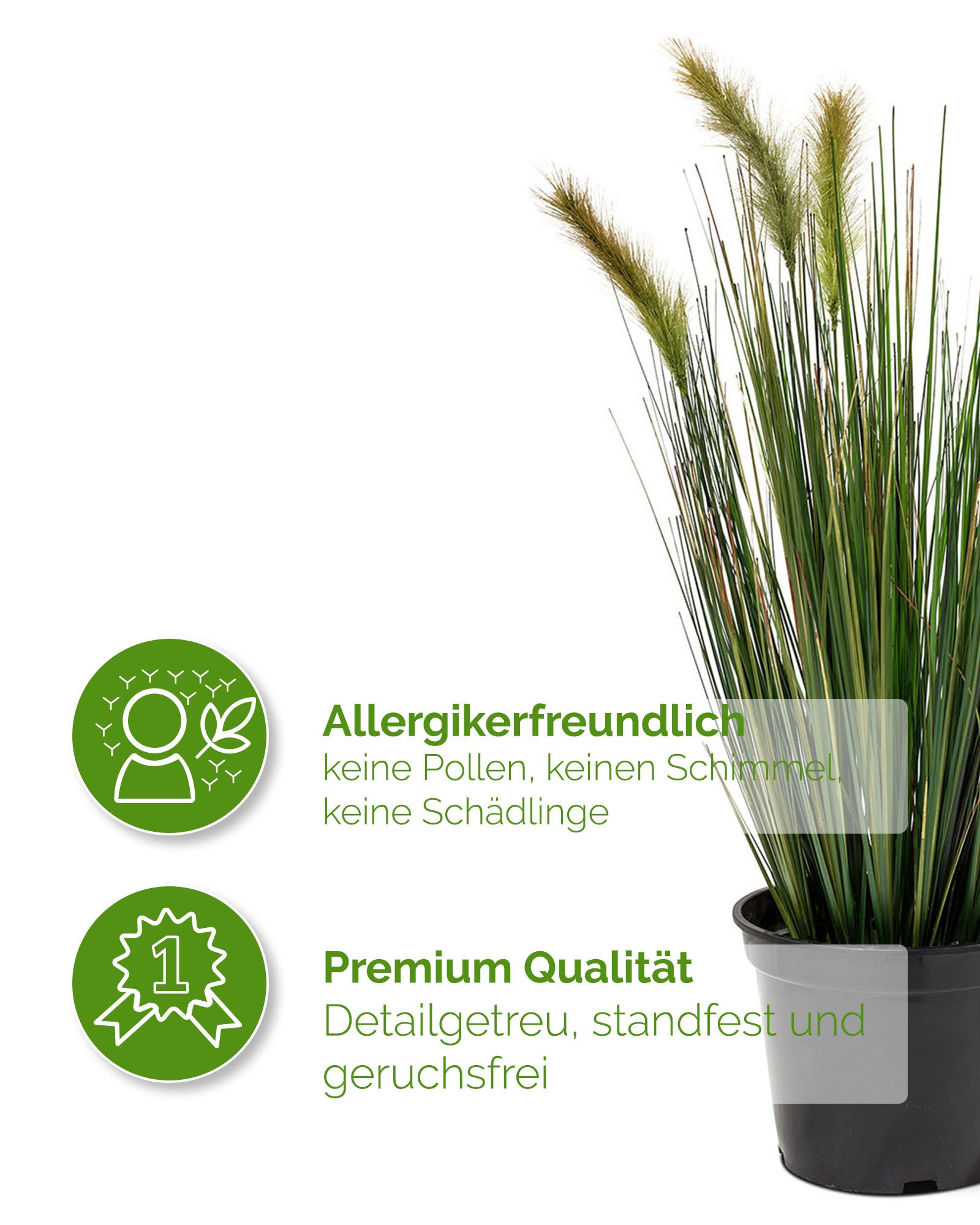 Detailansicht der Halme einer Fuchsschwanzgras Alopecurus Kunstpflanze für natürliche Eleganz ohne Pflegeaufwand