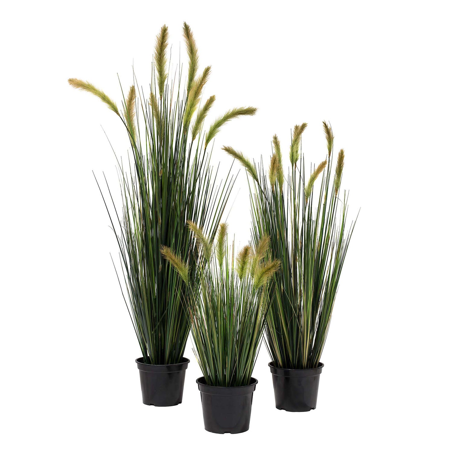 Fuchsschwanzgras Alopecurus Kunstpflanze in der Seitenansicht für natürliche Eleganz ohne Pflegeaufwand