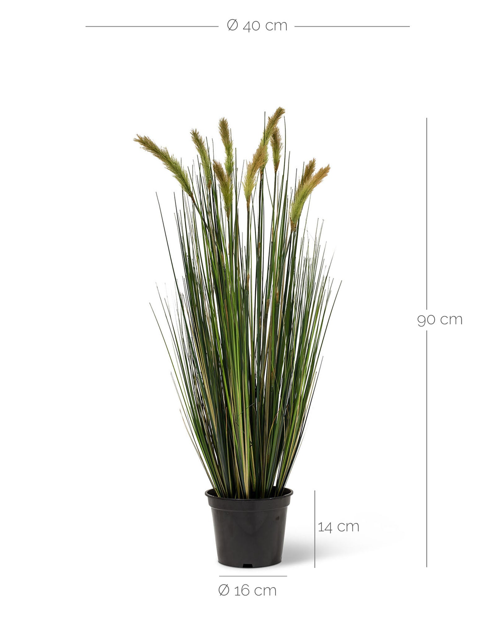 Fuchsschwanzgras Alopecurus Kunstpflanze Detailansicht der naturgetreuen Halme für zeitlose Eleganz ohne Pflegeaufwand