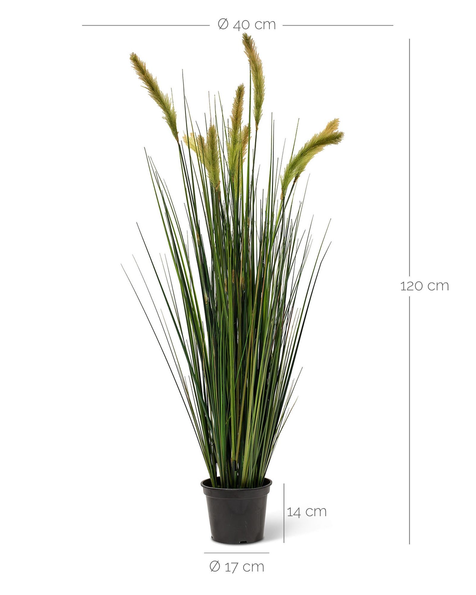 Fuchsschwanzgras Alopecurus Kunstpflanze Detailansicht der naturgetreuen Halme für zeitlose Eleganz