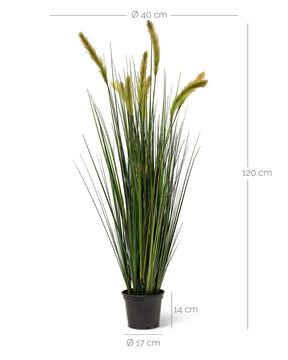 Fuchsschwanzgras Alopecurus Kunstpflanze Detailansicht der naturgetreuen Halme für zeitlose Eleganz