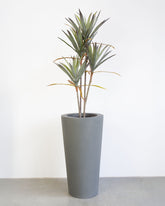 Basalo Conical Set mit Yucca - Palmlilie