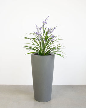 Basalo Conical Set mit Lavendel