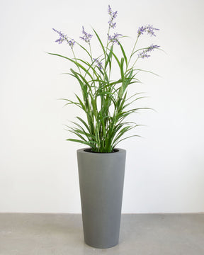 Basalo Conical Set mit Lavendel