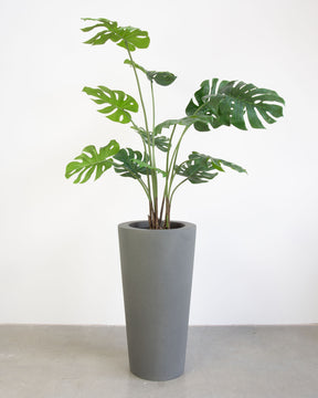 Basalo Conical Set mit Monstera