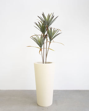 Basalo Conical Set mit Yucca - Palmlilie