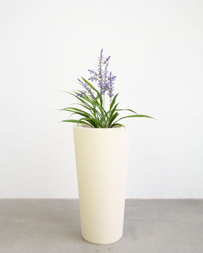 Basalo Conical Set mit Lavendel