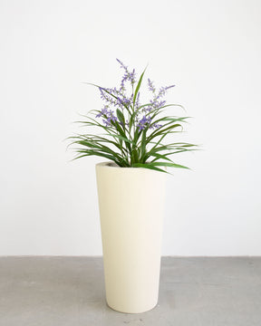 Basalo Conical Set mit Lavendel