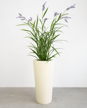 Basalo Conical Set mit Lavendel