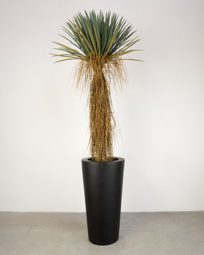 Basalo Conical Set mit Yucca Palmlilie