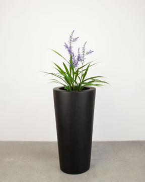 Basalo Conical Set mit Lavendel